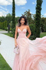 Beppe Lace Corset Tulle Dress In Blush