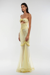 Blodeuedd Cutout Mesh Corset Maxi Dress