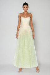 Emmitt Sequin Mesh Hayley Maxi Dress