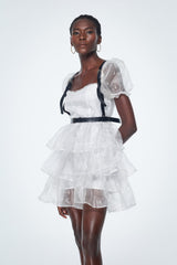 Babis Mesh Ruffle Mini Dress