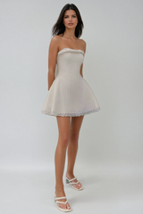 Brage Strapless Lace Mini Dress