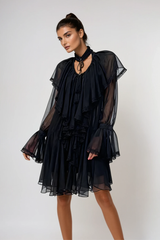 Devraj Ruffle Mesh Mini Dress