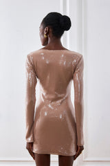 Aoibhe Long Sleeve Sequin Mini Dress In Apricot
