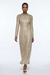 Eliud Sequin Mesh Maxi Dress