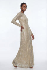 Eliud Sequin Mesh Maxi Dress
