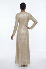 Eliud Sequin Mesh Maxi Dress