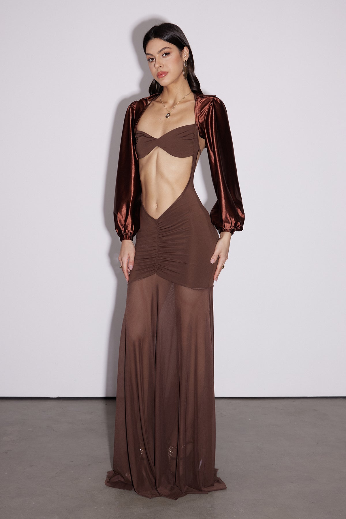 Emigdio Silky Cutout Mesh Maxi Dress