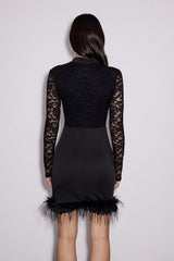 Emilian Lace Feather Mini Dress