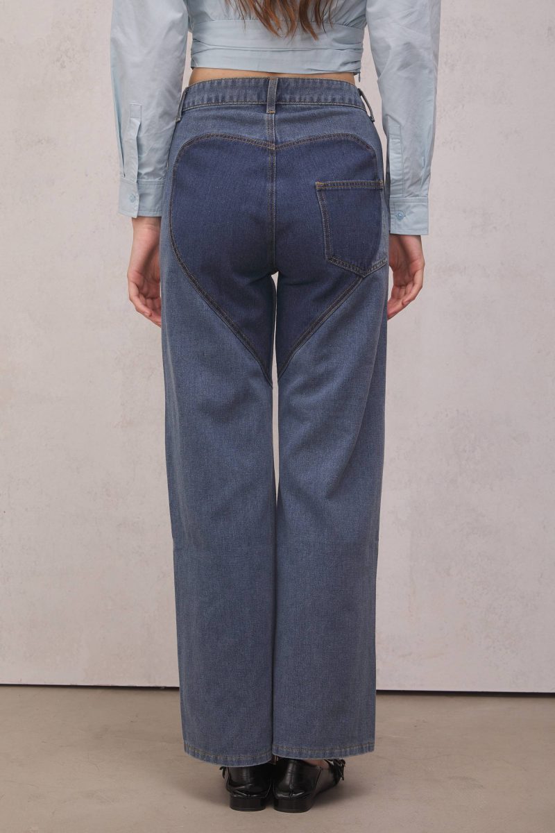 Abigail Hollow Denim Jeans 4