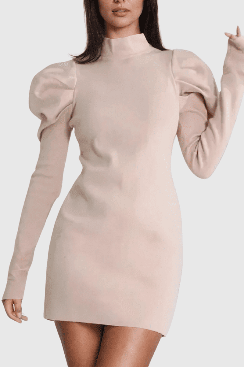 AlettaStandCollarRuchLongSleeveKnitMiniDress 1