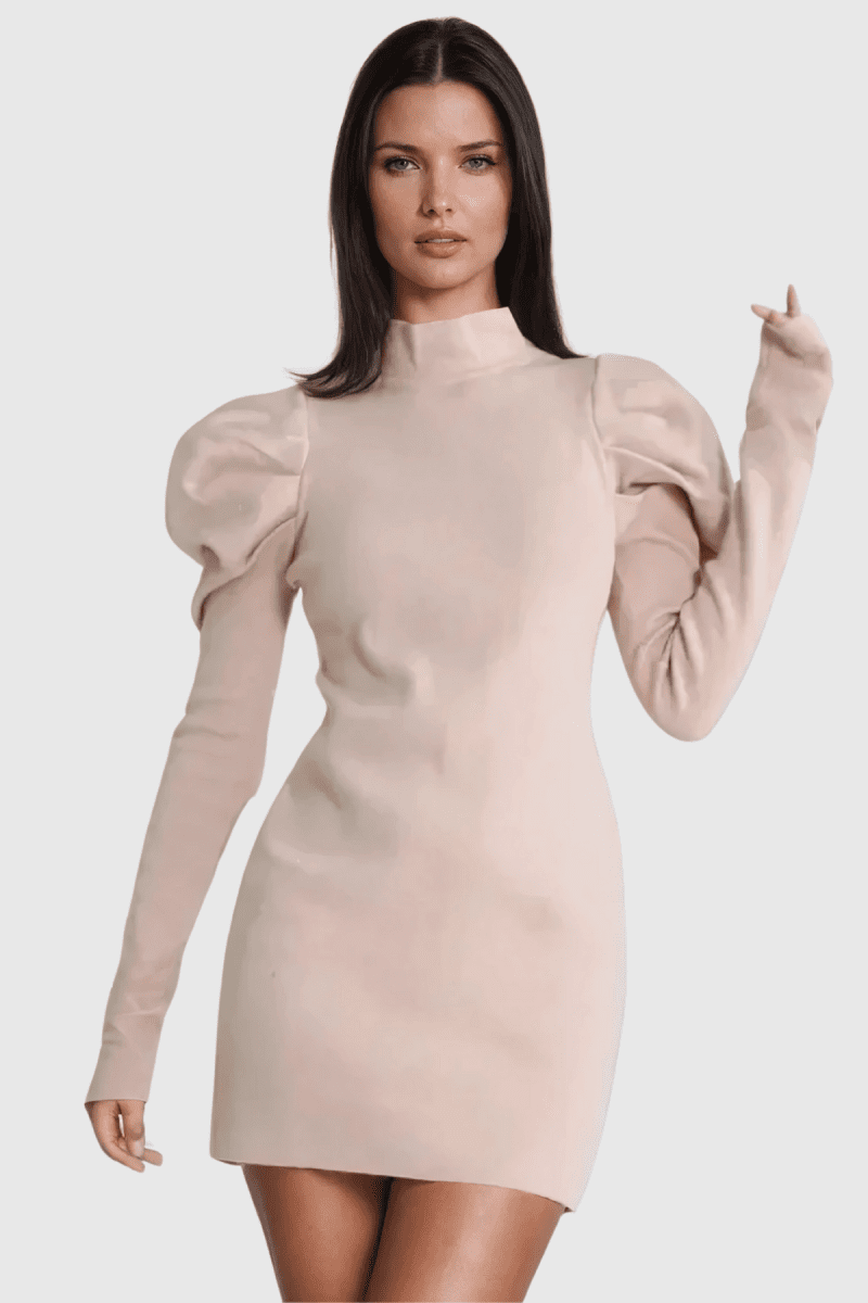 AlettaStandCollarRuchLongSleeveKnitMiniDress 2