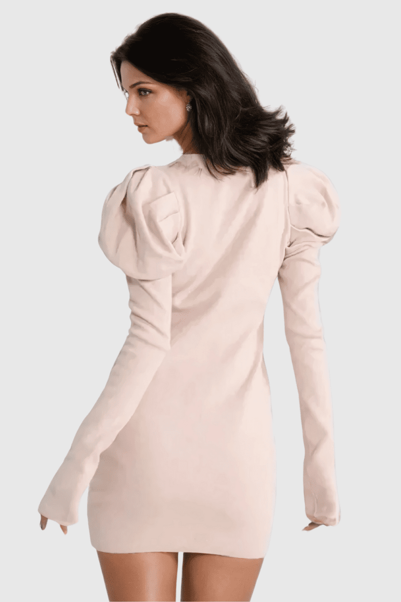 AlettaStandCollarRuchLongSleeveKnitMiniDress 4