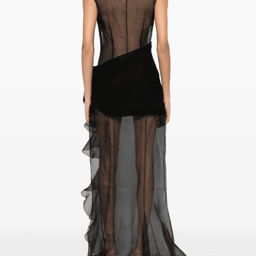 Anahi Mesh See Through Ruffle Maxi Dress 4