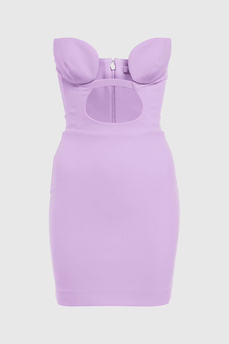 CharleighHollowStraplessBodyconMiniDressInPurple 2