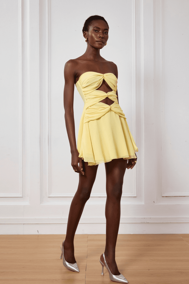 Nyra Mesh Cutout Ruffle Mini Dress In Yellow 3