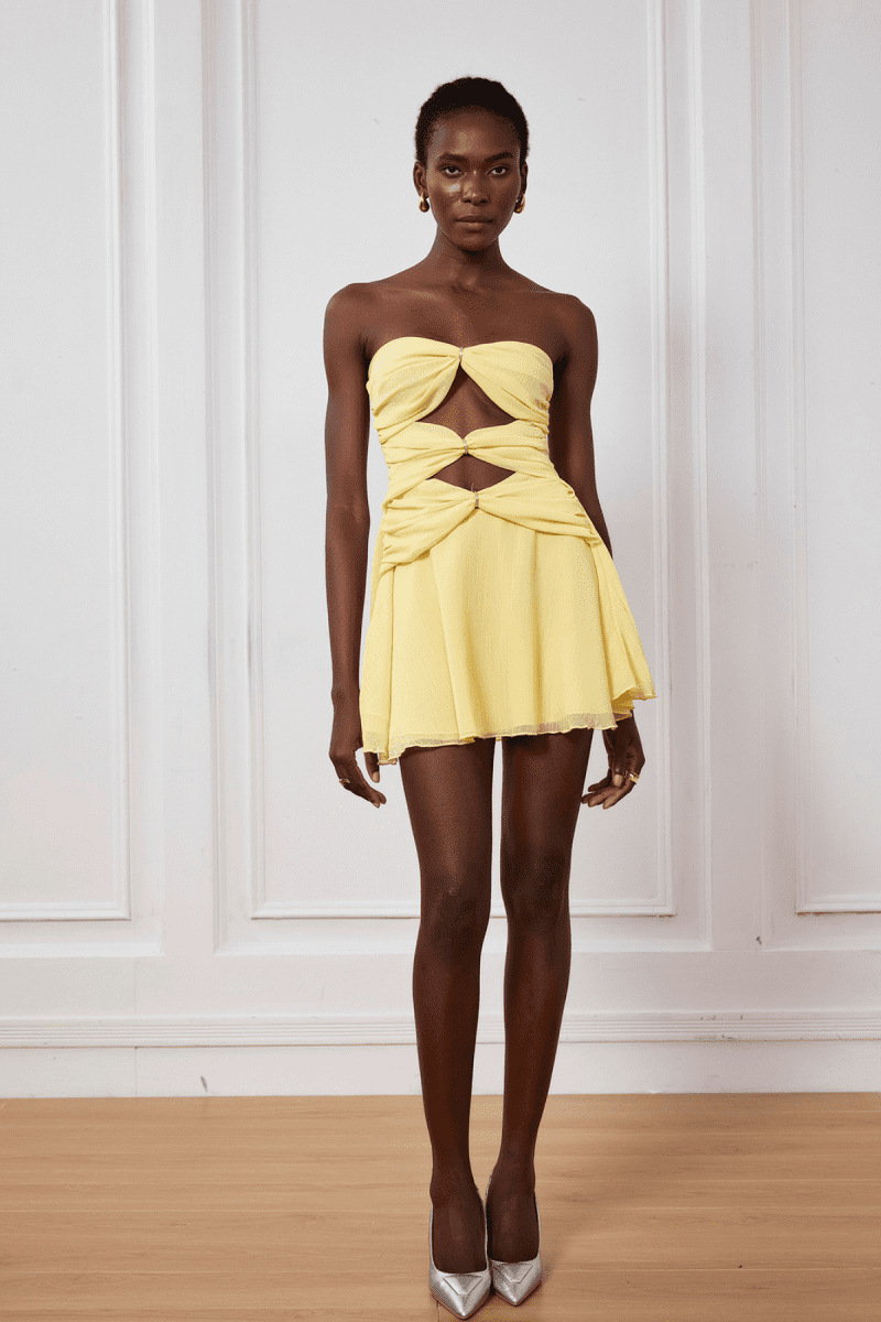 Nyra Mesh Cutout Ruffle Mini Dress In Yellow 4